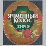 moskauotscha (505).jpg